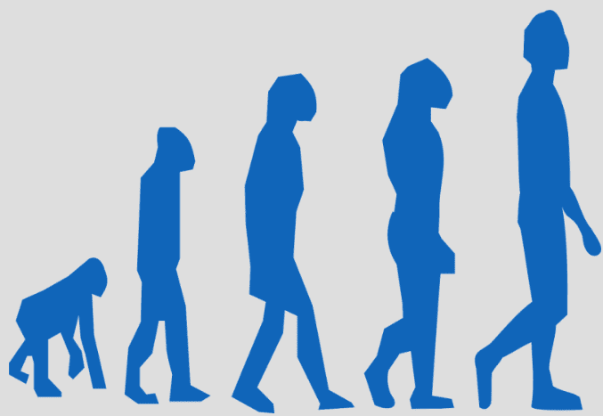 Evolution